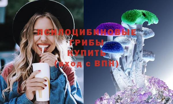 трава Белокуриха